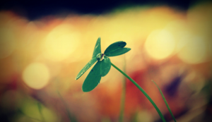 百炼钢铁不畏千难万险乾乾坤