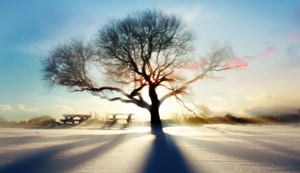 百炼钢铁不畏千难万险乾乾坤