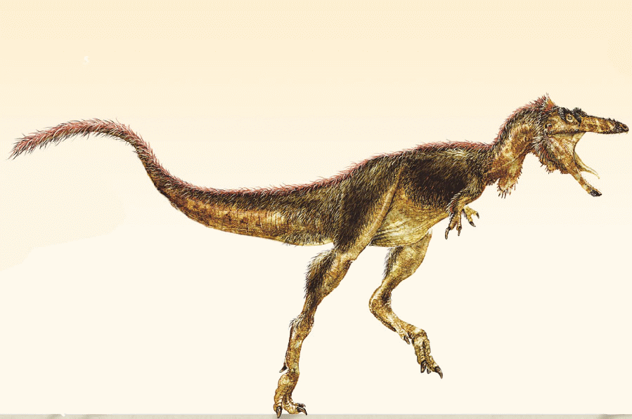 od体育网站-暴龙主帅：我们超级擅长防守的简单介绍